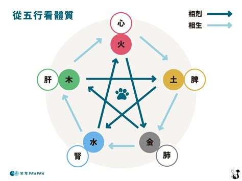 寵物行業 五行|毛孩也有「 金木水火土」五行屬性！用寵物五行了解。